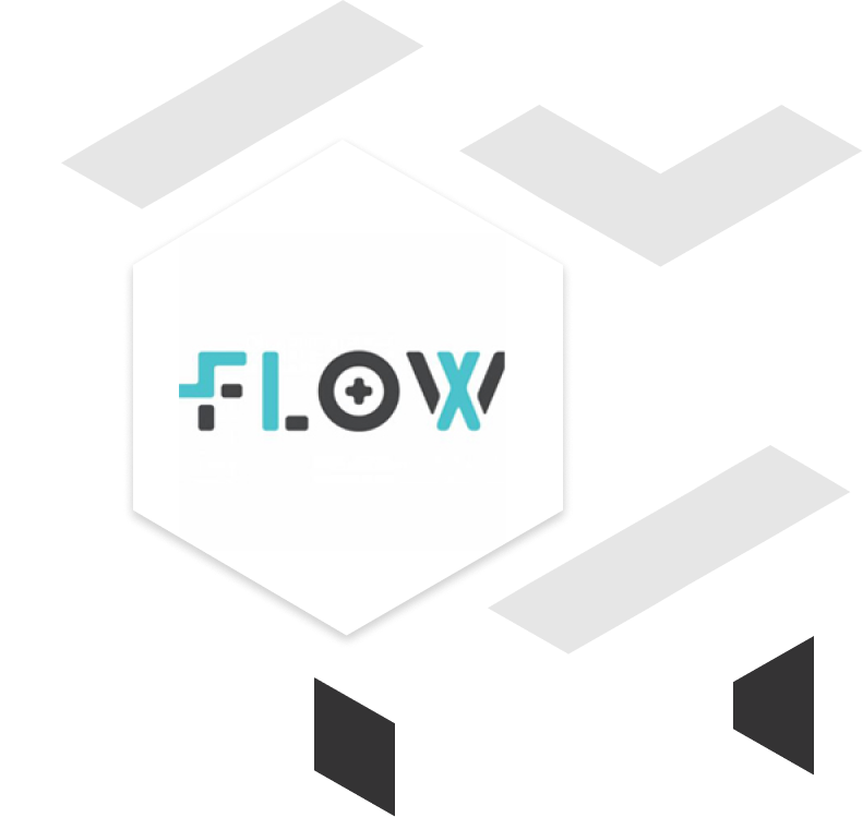 client flow logo